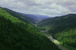 Te Taraipara ō Rūātoki Tribal